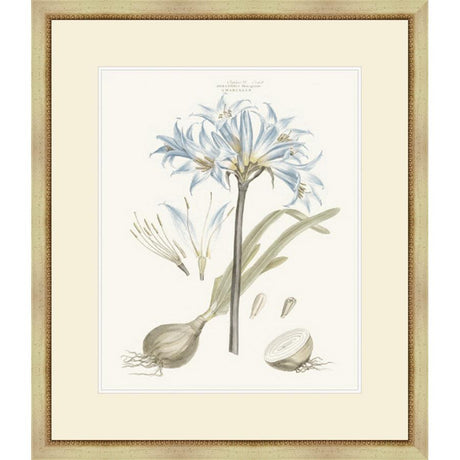 BASHFUL BLUE FLORALS II - Kings Fine Art & Decor