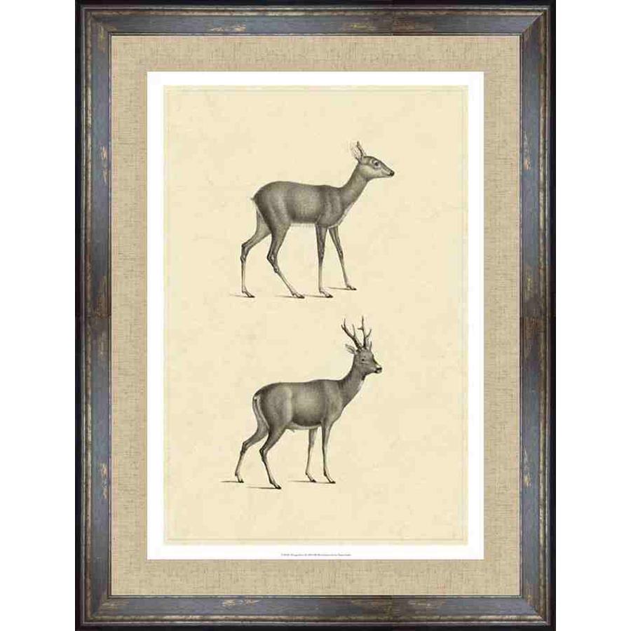 VINTAGE DEER I - Kings Fine Art & Decor