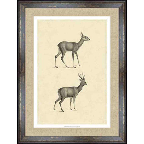 VINTAGE DEER I - Kings Fine Art & Decor