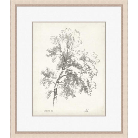 ASH TREE STUDY - Kings Fine Art & Decor