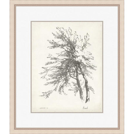 BEECH TREE STUDY - Kings Fine Art & Decor