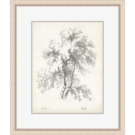 BIRCH TREE STUDY - Kings Fine Art & Decor