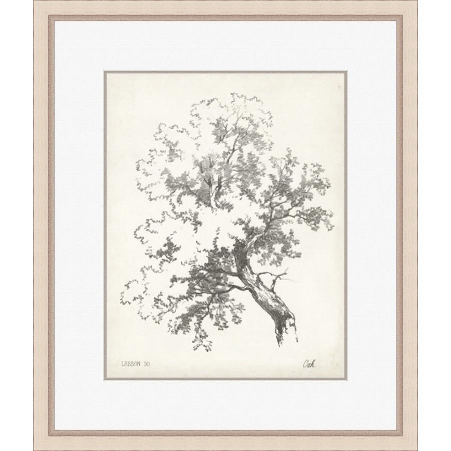 OAK TREE STUDY - Kings Fine Art & Decor
