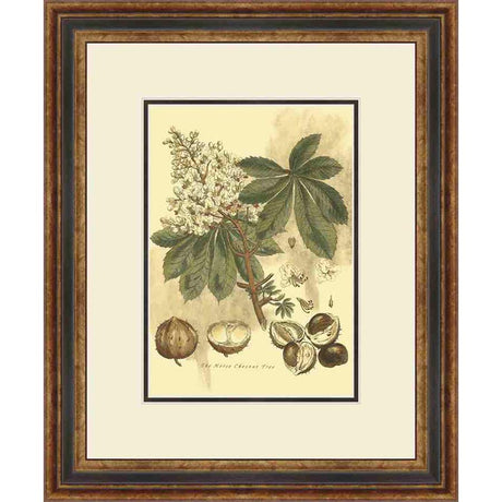 SMALL ANTIQUE HORSE CHESTNUT TREE - Kings Fine Art & Decor