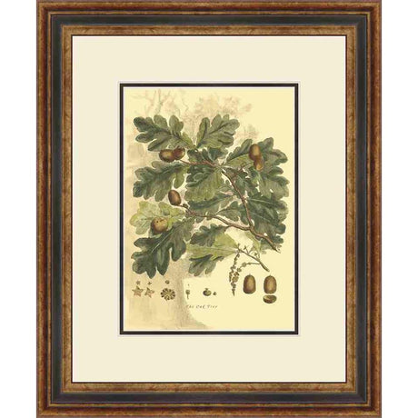 SMALL ANTIQUE OAK TREE - Kings Fine Art & Decor