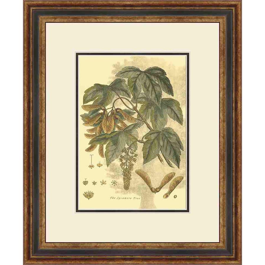 SMALL ANTIQUE SYCAMORE TREE - Kings Fine Art & Decor