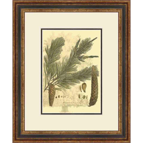 SMALL ANTIQUE WEYMOUTH PINE TREE - Kings Fine Art & Decor