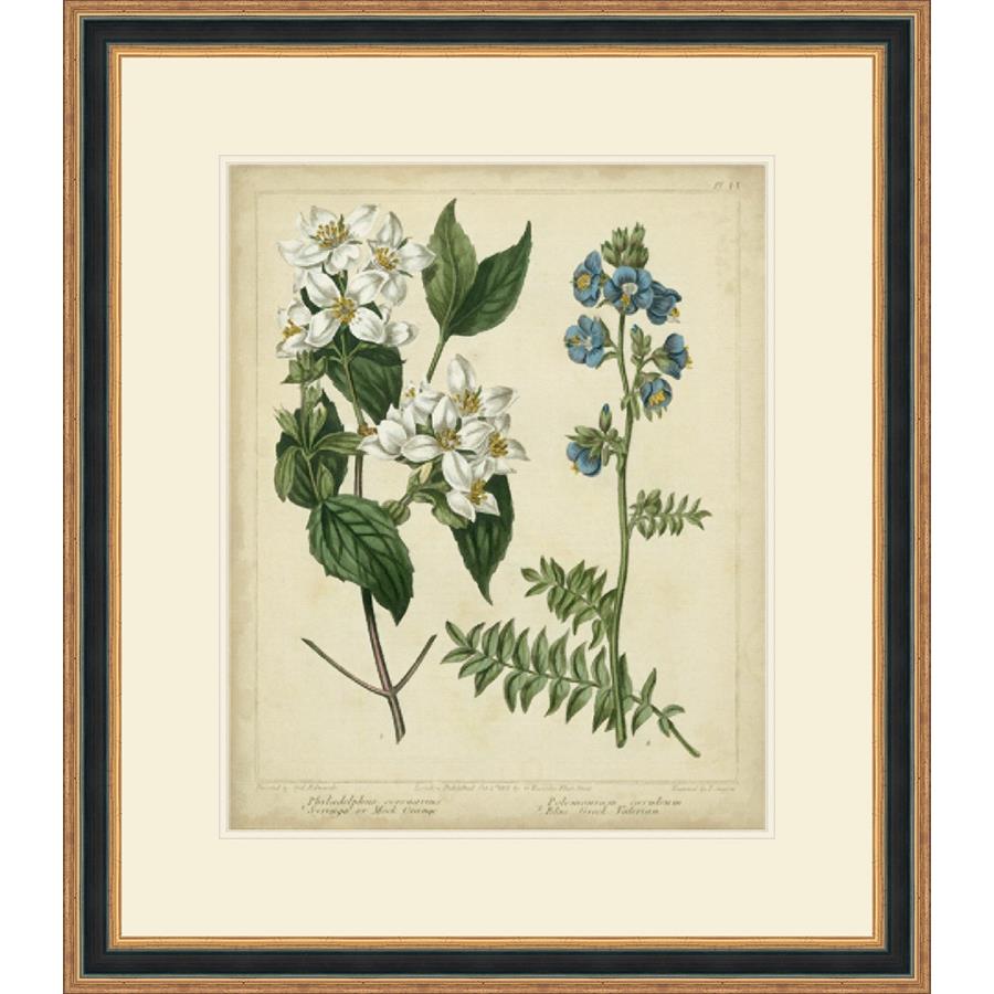 COTTAGE FLORALS I - Kings Fine Art & Decor