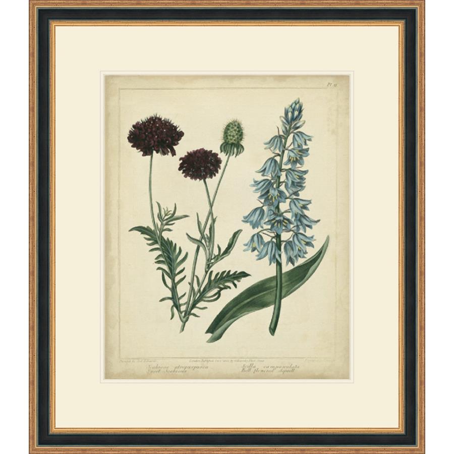 COTTAGE FLORALS VI - Kings Fine Art & Decor