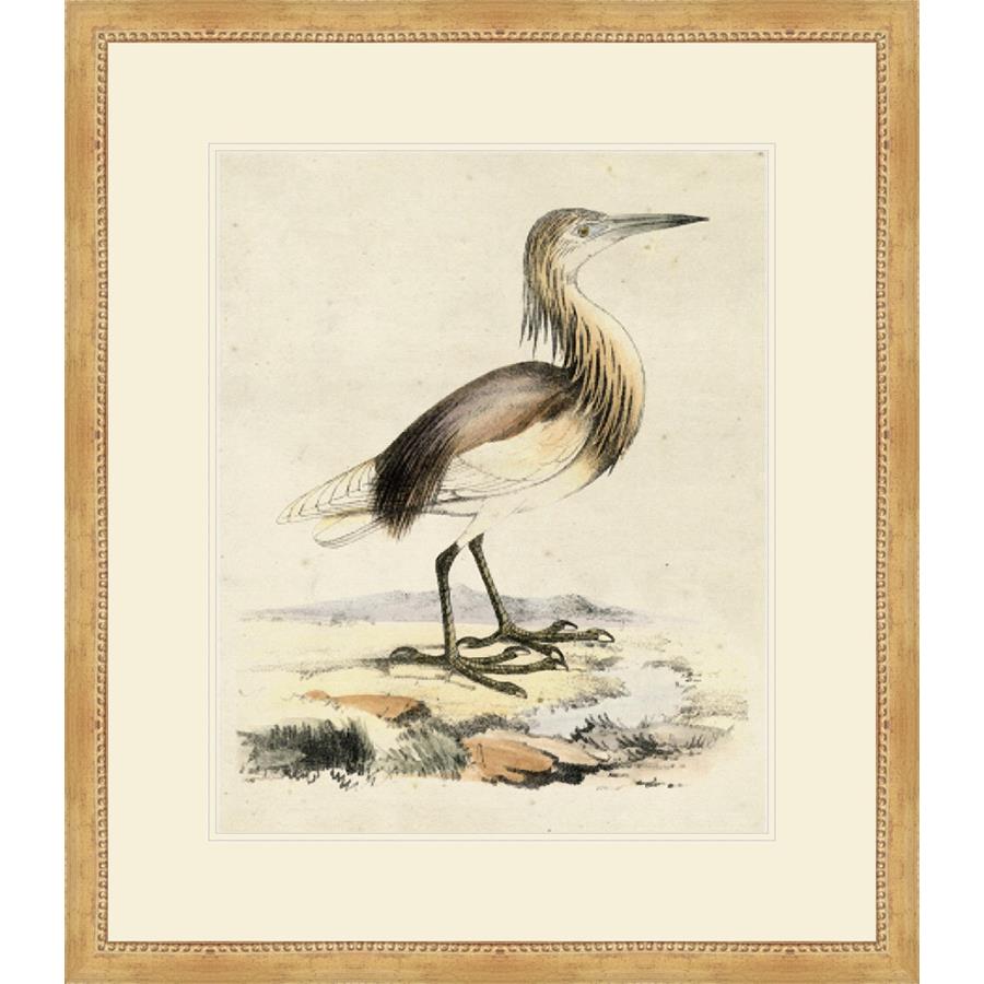 ANTIQUE HERON I - Kings Fine Art & Decor