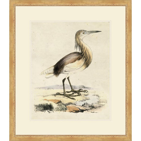 ANTIQUE HERON I - Kings Fine Art & Decor