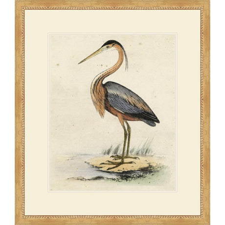 ANTIQUE HERON II - Kings Fine Art & Decor