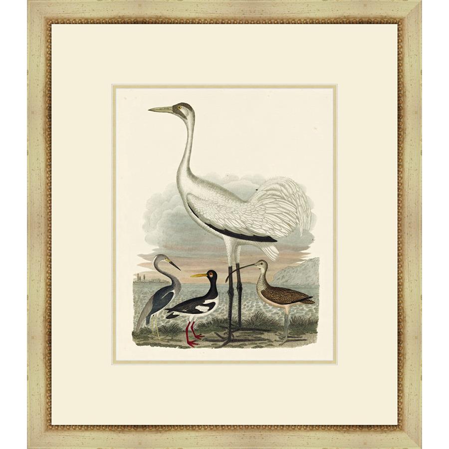 HERON FAMILY III - Kings Fine Art & Decor