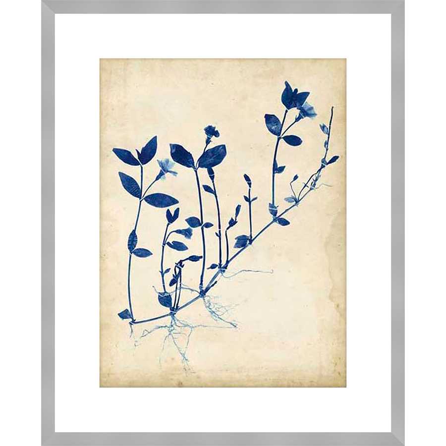 INDIGO LEAF STUDY II - Kings Fine Art & Decor