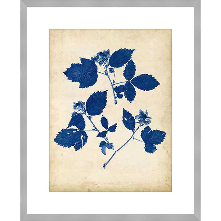 INDIGO LEAF STUDY VI - Kings Fine Art & Decor