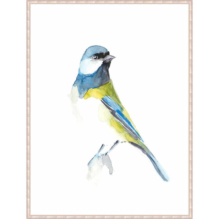 WATERCOLOR SONGBIRDS I - Kings Fine Art & Decor