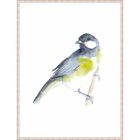 WATERCOLOR SONGBIRDS II - Kings Fine Art & Decor