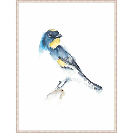 WATERCOLOR SONGBIRDS III - Kings Fine Art & Decor