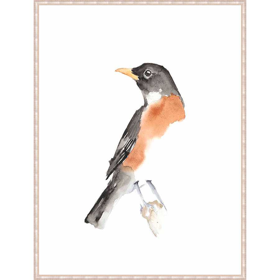 WATERCOLOR SONGBIRDS IV - Kings Fine Art & Decor
