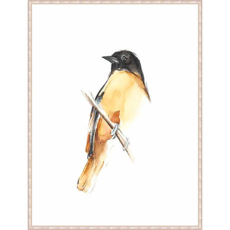 WATERCOLOR SONGBIRDS VI - Kings Fine Art & Decor
