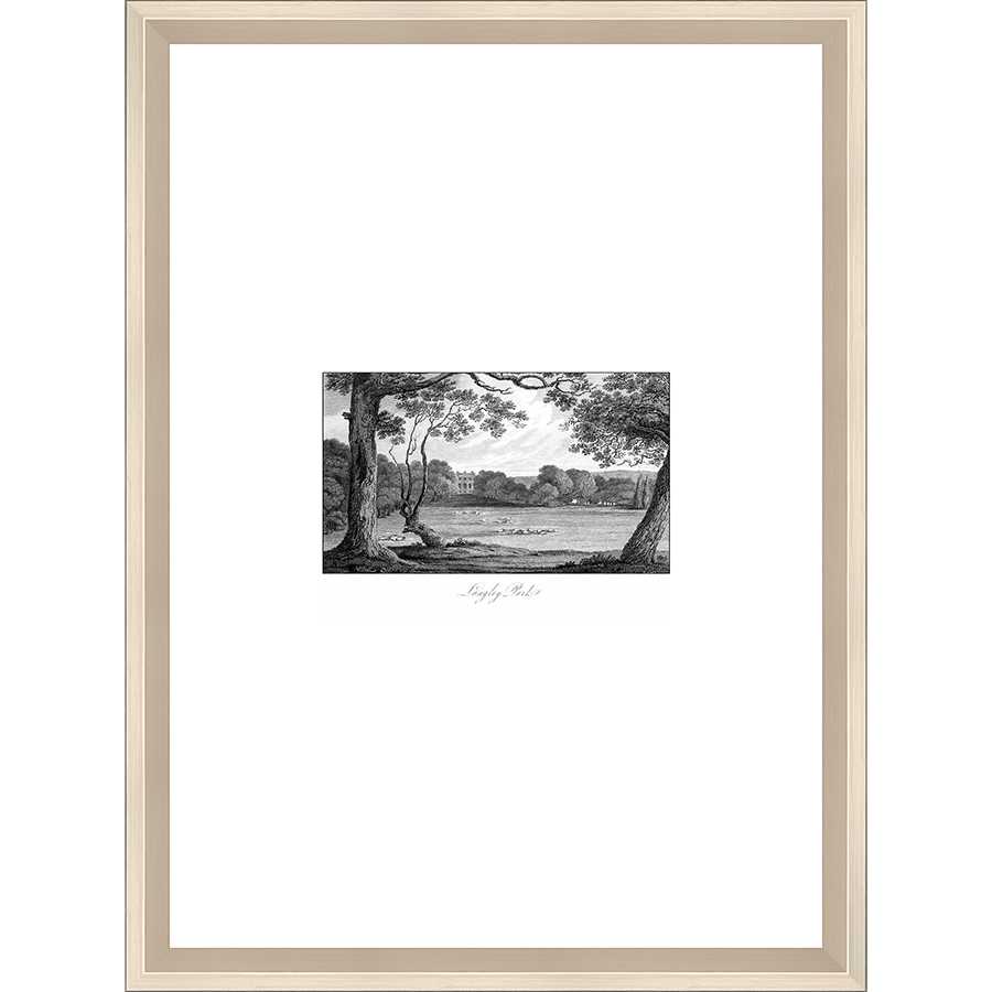 VIEW OF LANGLEY PARK - Kings Fine Art & Decor