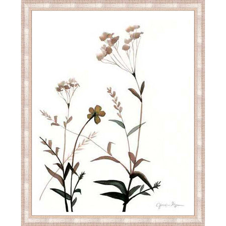 WATERMARK WILDFLOWERS VII (NC) - Kings Fine Art & Decor