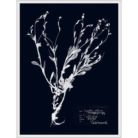 IMPRESSIONS ON INDIGO II - Kings Fine Art & Decor