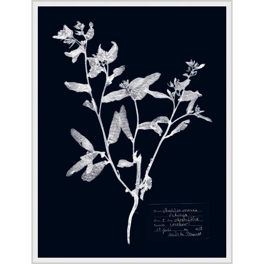 IMPRESSIONS ON INDIGO III - Kings Fine Art & Decor