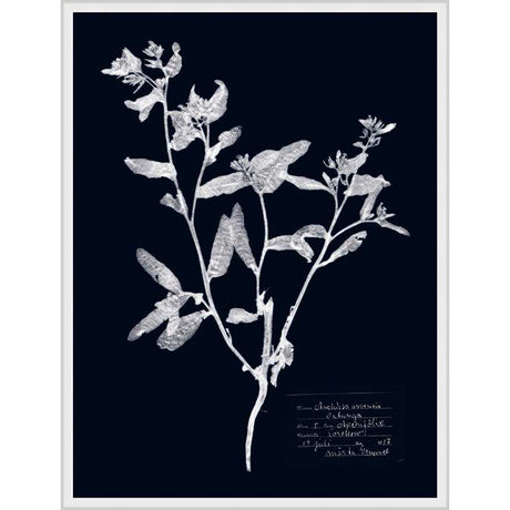 IMPRESSIONS ON INDIGO III - Kings Fine Art & Decor