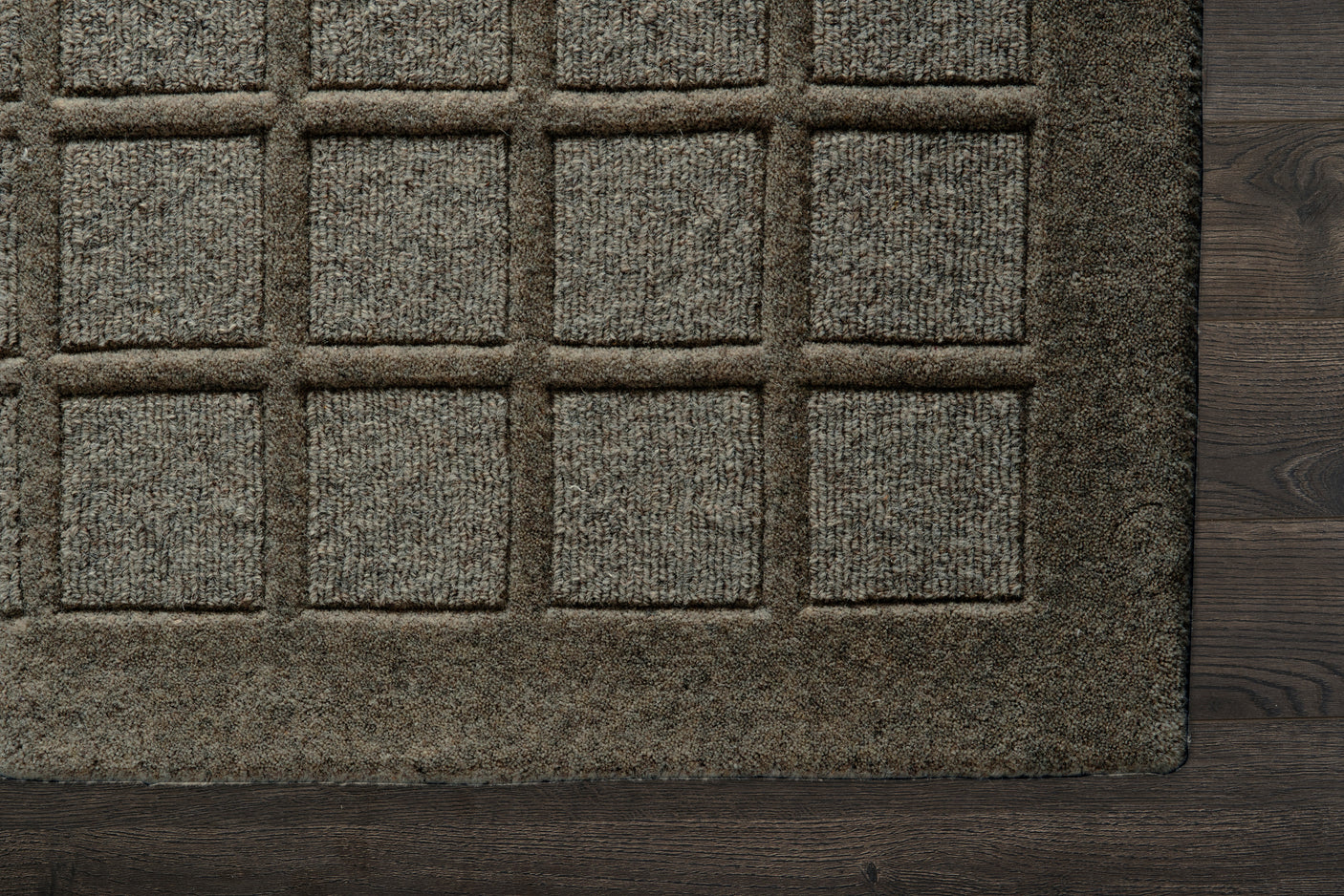 Synergy Rug Fossil - Kings Fine Art & Decor