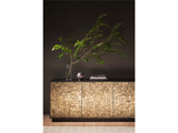 Cosmo Credenza