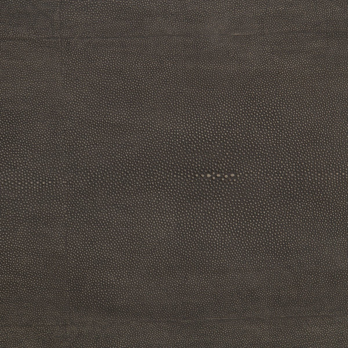 Shagreen Shadow Box Coffee Table - Kings Fine Art & Decor