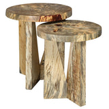 Nadette Nesting Tables, Natural, S/2