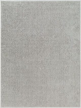 AFB-2303