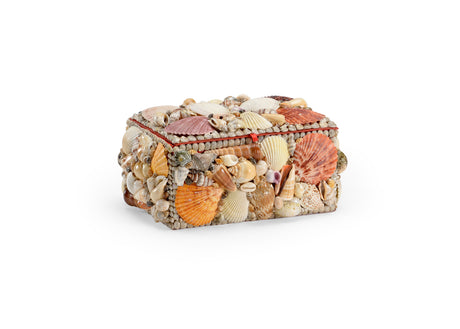 Large Shell Box