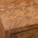 Jethro 2 Door Cabinet