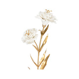 Carnation on Alabaster Stand