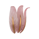 Everly Sconce