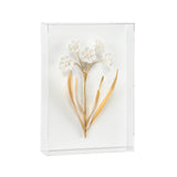 Porcelain Flowers - B