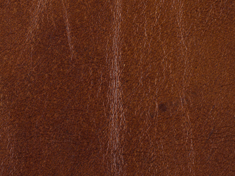 Hooker Furniture Exton Stationary Sofa SS387-03-087