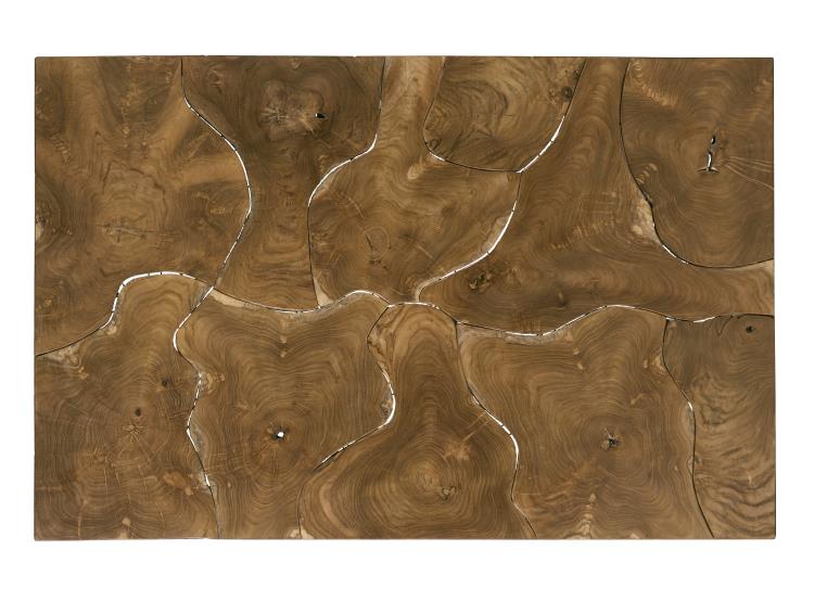 teak-roots-coffee-table-SF6280