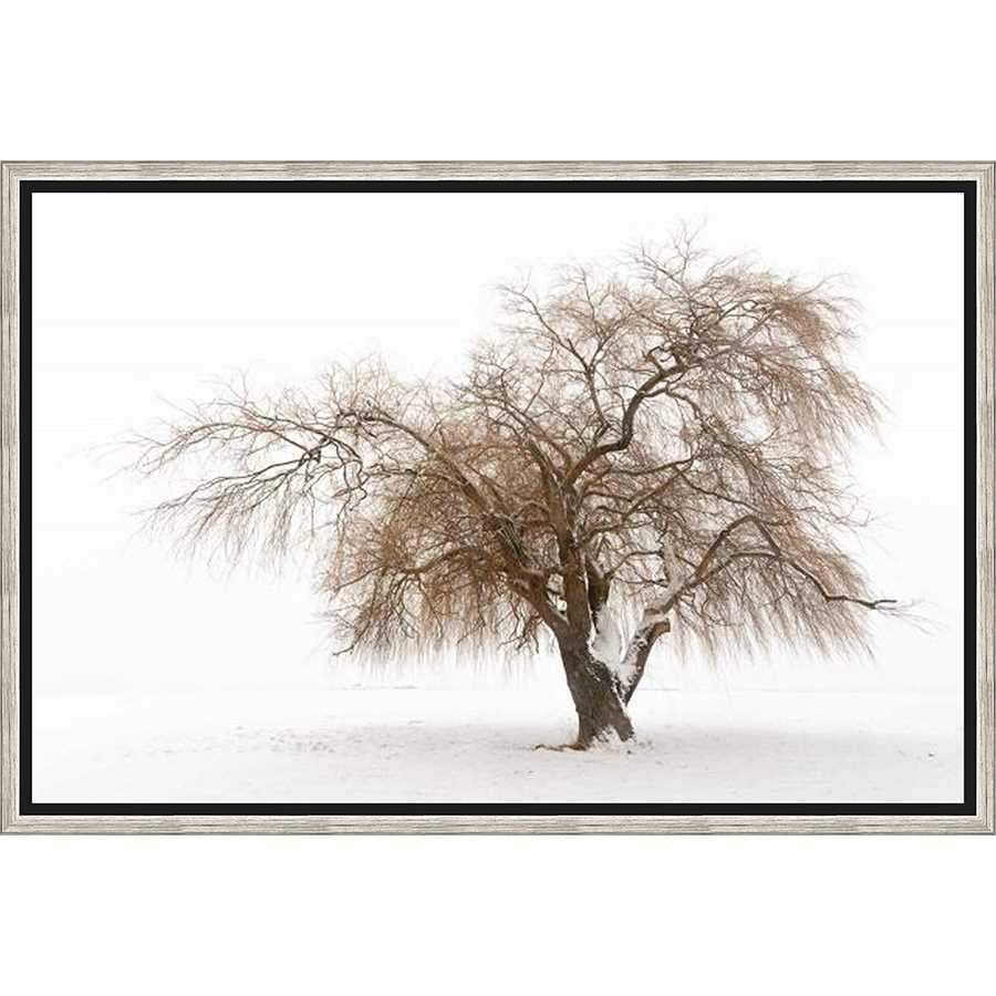 FG3135C01 Giclée on Matte Canvas, framed Floating in a Contemporary Silver Floater Frame #7662. This frame has a 2in profile in black. Finished Size: W 32.00 in x H 22.00 in