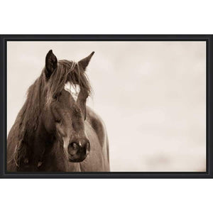 FG3136C01 Giclée on Matte Canvas, framed Floating in a Contemporary Matte Black Floater Frame #7660. This frame has a 2in profile in black. Finished Size: W 32.00 in x H 22.00 in
