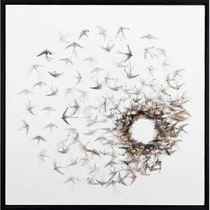 FG6039C01 3D Art composed of Silk Butterflies, framed Floating in a Contemporary Black Frame. Finished Size: W 40.00 in x H 40.00 in