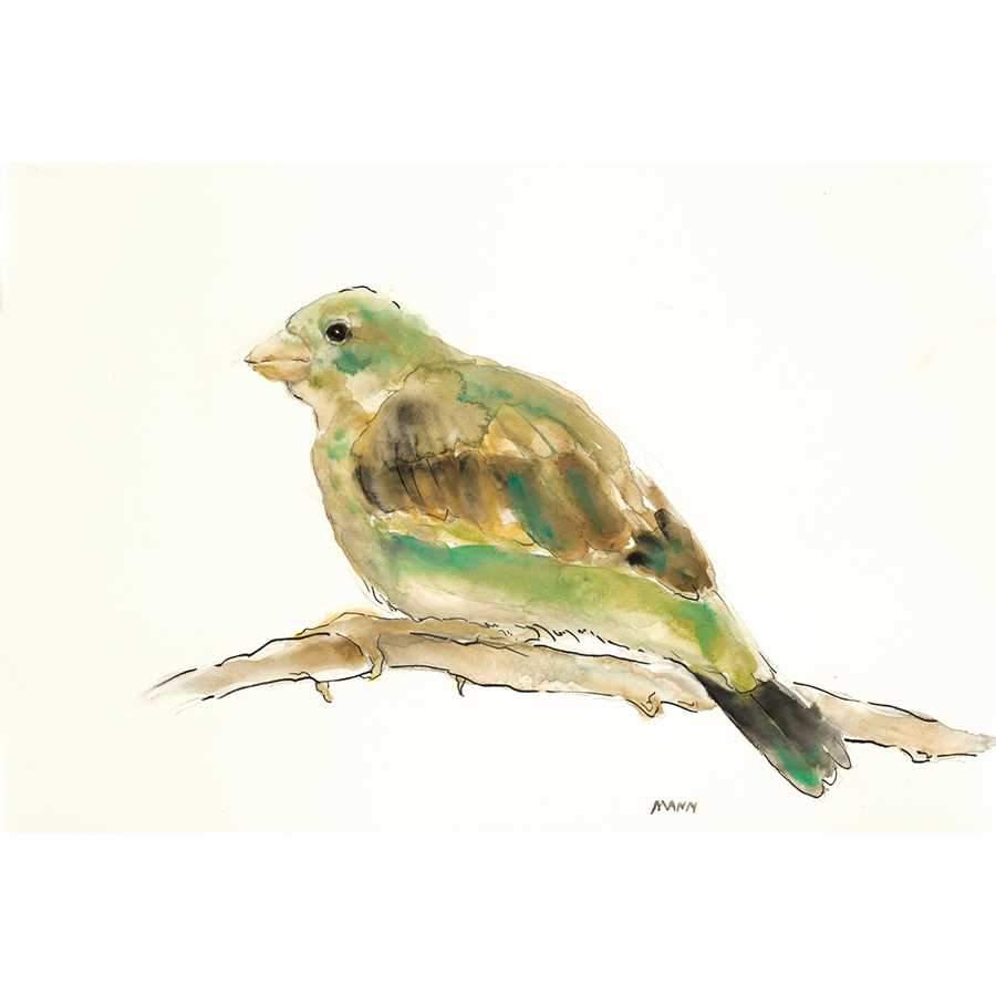 LITTLE BIRD II by Patti Mann, Item#CG001185C, Matte Canvas, Art, Giclée on Canvas, Horizontal, Small