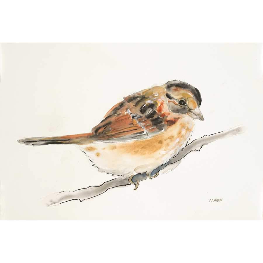 LITTLE BIRD III by Patti Mann, Item#CG001186P, Matte Paper, Art, Giclée on Paper, Horizontal, Small