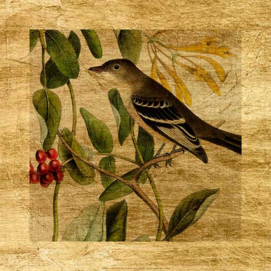 LUSTR AVIAN CROP II by John James Audubon , Item#CG001873C, Matte Canvas, Art, Giclée on Canvas, Square, Small