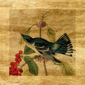 LUSTR AVIAN CROP III by John James Audubon , Item#CG001874C, Matte Canvas, Art, Giclée on Canvas, Square, Small