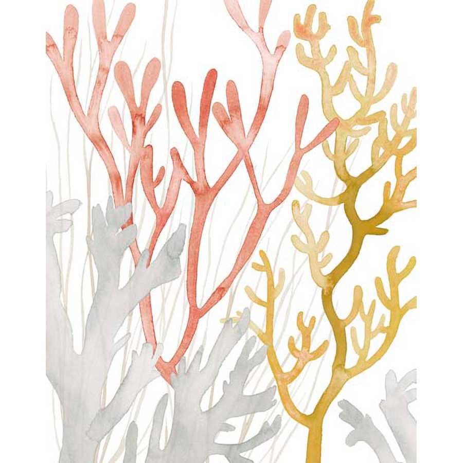 DESERT CORAL I by Grace Popp , Item#CG002197C, Matte Canvas, Art, Giclée on Canvas, Vertical, Small