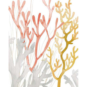 DESERT CORAL I by Grace Popp , Item#CG002197C, Matte Canvas, Art, Giclée on Canvas, Vertical, Small
